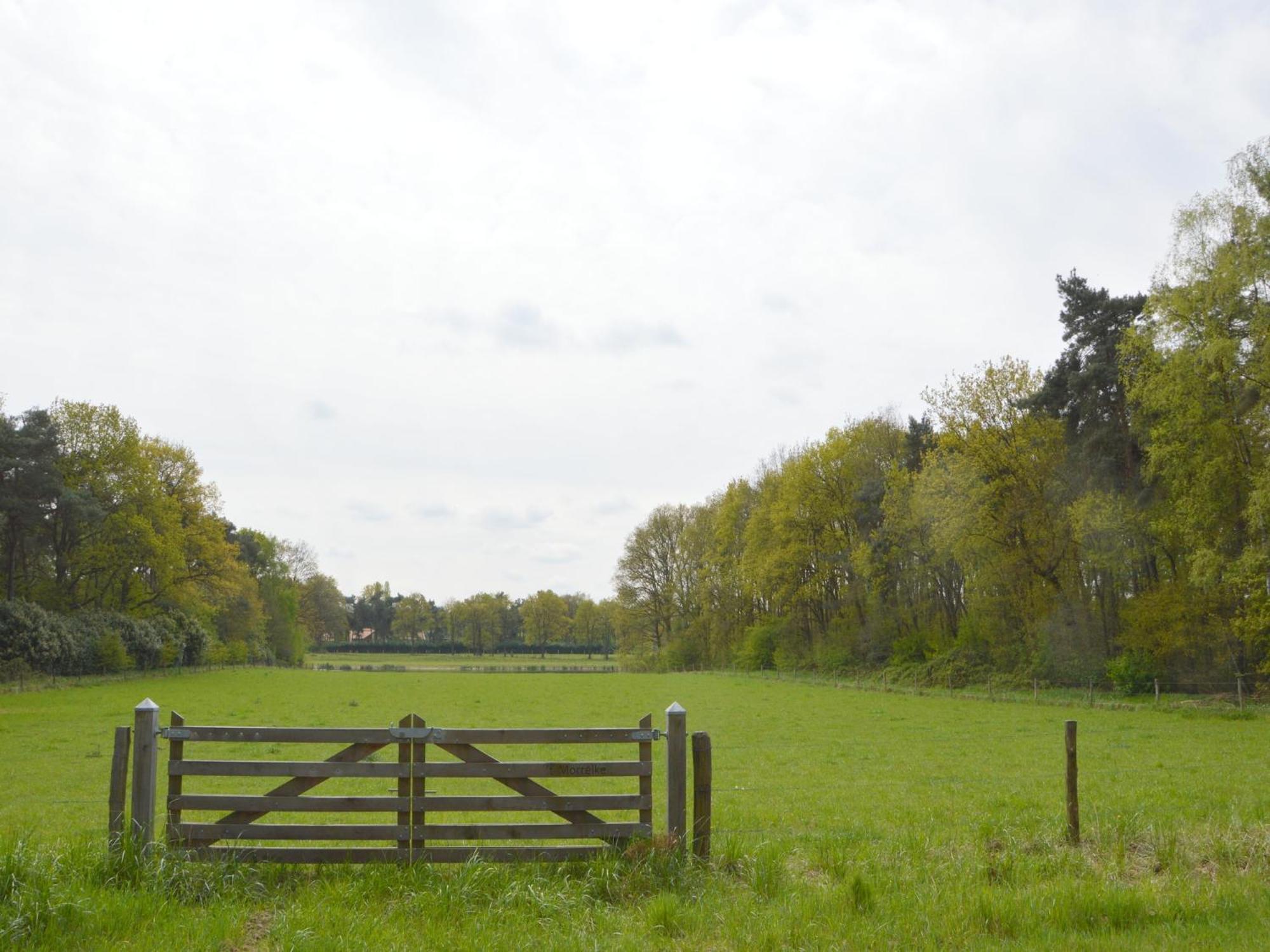 Lovely Holiday Home In Limburg Amid Lush Forest Stramproy ภายนอก รูปภาพ